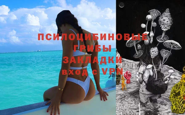твердый Краснослободск