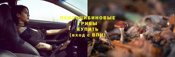 mdpv Краснотурьинск