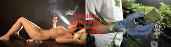 твердый Краснослободск