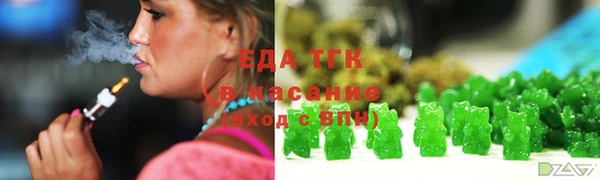 твердый Краснослободск
