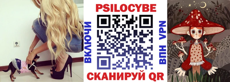 Купить где  Пугачёв  Галлюциногенные грибы Magic Shrooms 